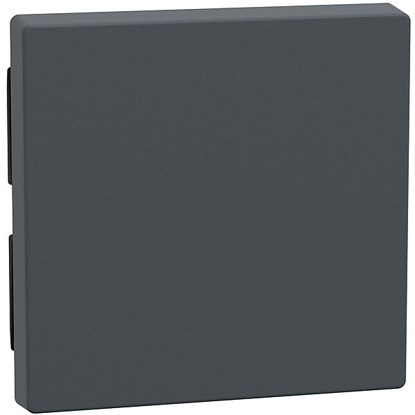 Merten Wippe anth 433114